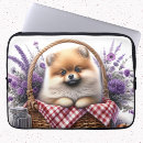 Zoek naar pomeranian hoesjes Puppy