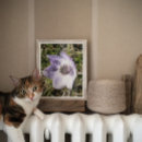 Zoek naar anemonen posters Voor iedereen