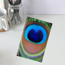 Zoek naar peacock notitieboeken Kleurrijk
