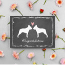 Zoek naar boston terriers kaarten Hond