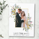 Zoek naar wildflowers briefkaarten Wilde bloem