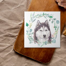 Zoek naar siberian husky tegels Hond