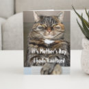 Zoek naar grappige kat kaarten Voor haar
