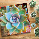 Zoek naar close up puzzels Voor iedereen