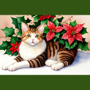 Zoek naar leuke kat kussens Elk persoon