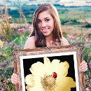 Zoek naar madeliefje kunst Goud