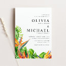 Zoek naar strelitzia briefkaarten Botanisch