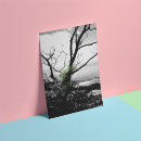 Zoek naar zwart witte fotografie kunst Reis