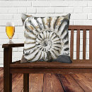 Zoek naar fossiel kussens Steen