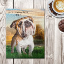Zoek naar bulldogs puzzels Hond