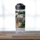 Zoek naar roofvogel waterflessen Raptor