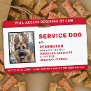 Zoek naar white badges Voor iedereen