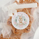 Zoek naar baby konijn stickers Aanstaande moeder