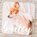 Zoek naar grafisch stickers Voor iedereen