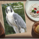 Zoek naar funny birthday fotografie Elk persoon