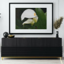 Zoek naar calla lilies kunst Floreel