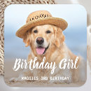 Zoek naar hondenliefhebber verjaardag stickers Puppy