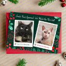 Zoek naar grappige kattenfoto kaarten Meowy kerstmis