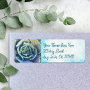 Zoek naar cactus etiketten Elk persoon