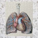 Zoek naar bloed puzzels Hart