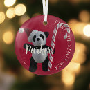 Zoek naar grappige panda ornamenten Voor kinderen