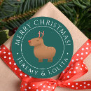Zoek naar grappig kerst stickers Schattig