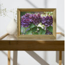 Zoek naar hydrangea hortensia posters Elk persoon