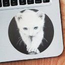 Zoek naar katjes stickers Dieren