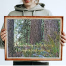 Zoek naar naaldbomen posters Elk persoon