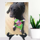 Zoek naar bruin labrador kaarten Liefde