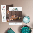 Zoek naar magie uitnodigingen Voor iedereen