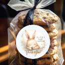 Zoek naar baby konijn stickers Bos