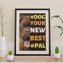 Zoek naar memes kunst Hond