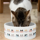 Zoek naar grappige kattenbenodigdheden Voor haar