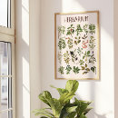 Zoek naar plant grafiek posters Botanisch