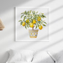 Zoek naar mediterrane posters Voor iedereen