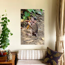 Zoek naar baby aap posters Elk persoon