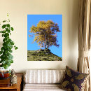 Zoek naar herfstboom posters Elk persoon