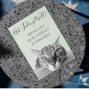 Zoek naar gevoelig kaarten Grappig