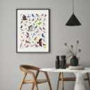 Zoek naar ornitholoog posters Berger