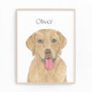 Zoek naar roze hond posters Labrador