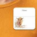 Zoek naar kalf stickers Baby shower