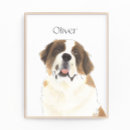 Zoek naar st bernard hond posters Vriend