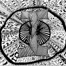 Zoek naar overvloedig tshirts Geloof