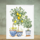 Zoek naar olijfboom posters Elegant