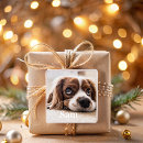 Zoek naar huisdieren stickers Voor hem/haar