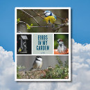 Zoek naar stip briefkaarten Vogel