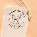 Zoek naar kantoor school Kip