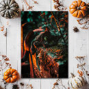 Zoek naar occult briefkaarten Gotisch