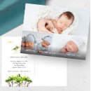 Zoek naar ooievaar posters Foto